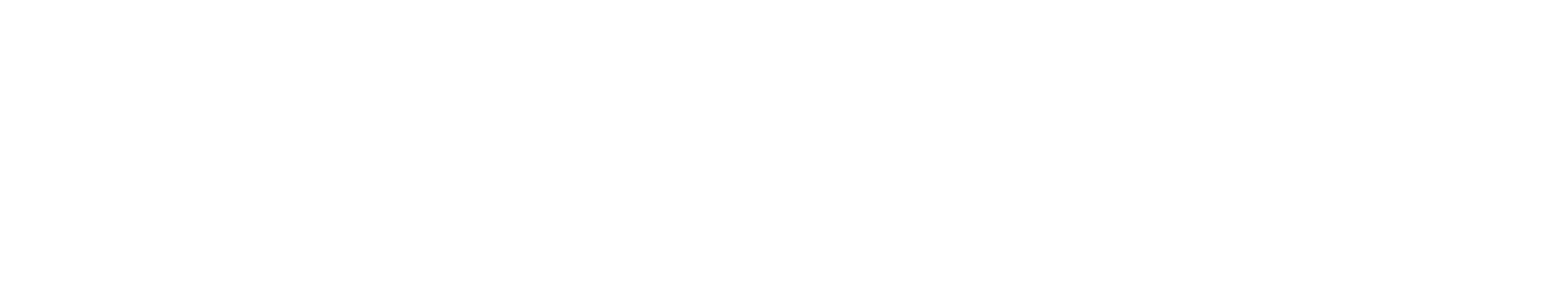 IVECO S-WAY